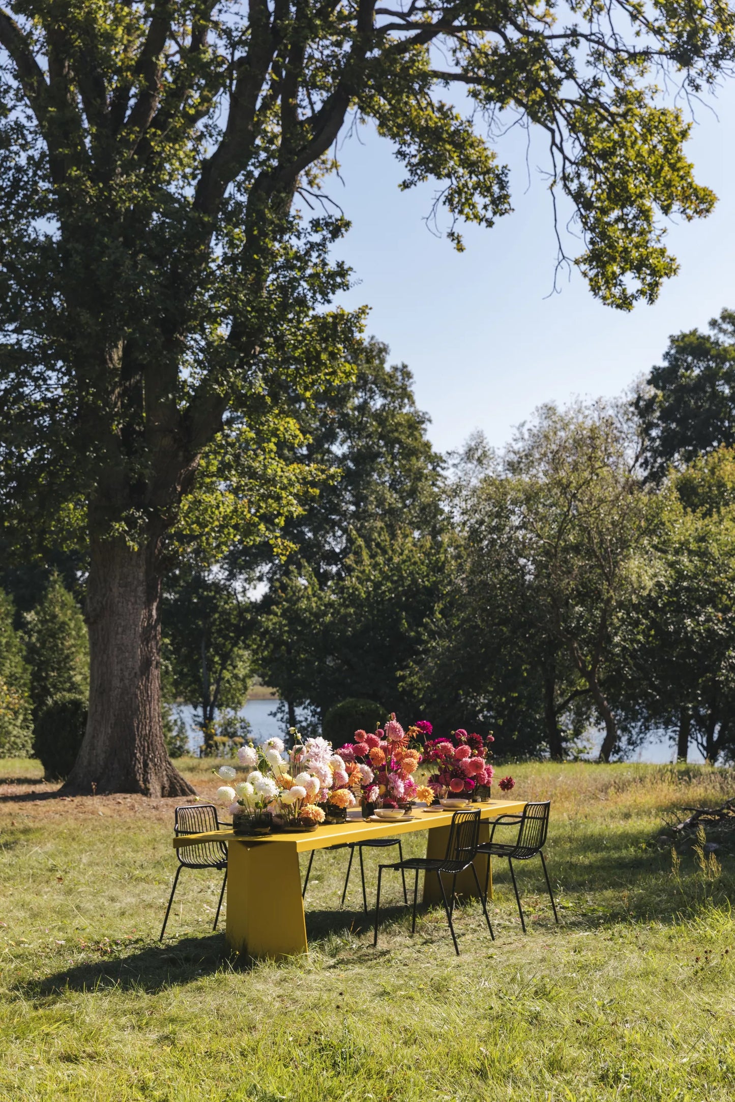 Stalas Pallas